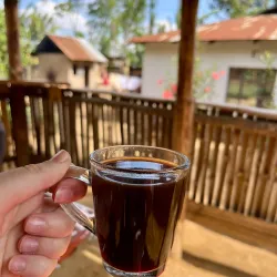 Local Coffee Plantations - Ifakara