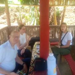 Local Coffee Plantations - Ifakara