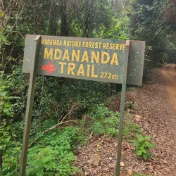 Matembwe Forest Reserve - Ifakara