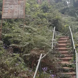 Matembwe Forest Reserve - Ifakara