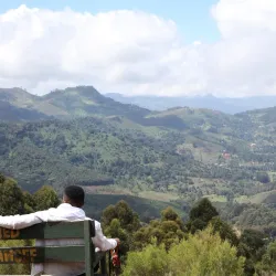 Matembwe Forest Reserve - Ifakara