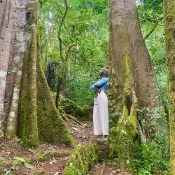 Matembwe Forest Reserve - Ifakara