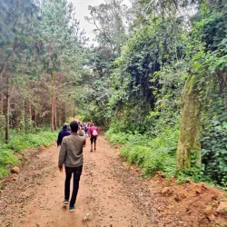 Matembwe Forest Reserve - Ifakara