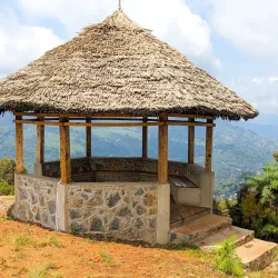 Matembwe Forest Reserve - Ifakara