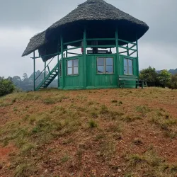 Matembwe Forest Reserve - Ifakara