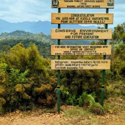 Matembwe Forest Reserve - Ifakara