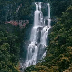 Udzungwa Mountains National Park - Ifakara