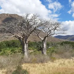 Udzungwa Mountains National Park - Ifakara