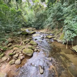 Udzungwa Mountains National Park - Ifakara