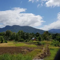 Udzungwa Mountains National Park - Ifakara