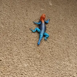 Isimila Stone Age Site - Iringa