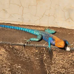 Isimila Stone Age Site - Iringa