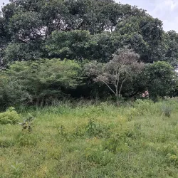 Kalenga Historical Site - Iringa