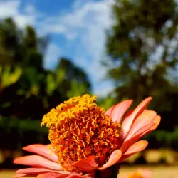 Mafinga Hills - Iringa