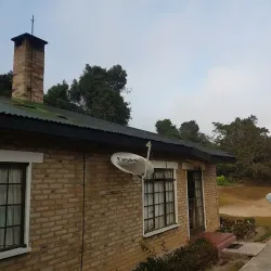 Mufindi Tea Plantations - Iringa