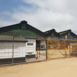 Mufindi Tea Plantations - Iringa