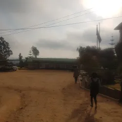 Mufindi Tea Plantations - Iringa