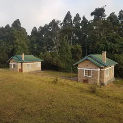 Mufindi Tea Plantations - Iringa