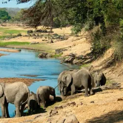Ruaha National Park - Iringa