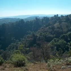 Udzungwa Mountains National Park - Iringa