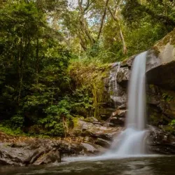 Udzungwa Mountains National Park - Iringa