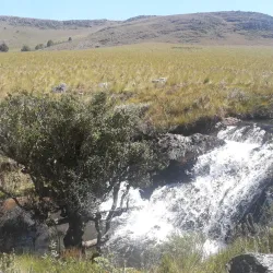 Bird Watching Sites - Kilombero