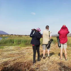 Bird Watching Sites - Kilombero