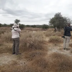 Bird Watching Sites - Kilombero