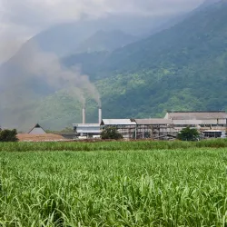 Kilombero Rice Fields - Kilombero