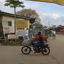 Kilombero Rice Fields - Kilombero