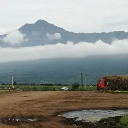Kilombero Rice Fields - Kilombero