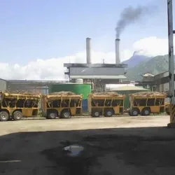 Kilombero Rice Fields - Kilombero
