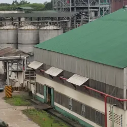 Kilombero Rice Fields - Kilombero