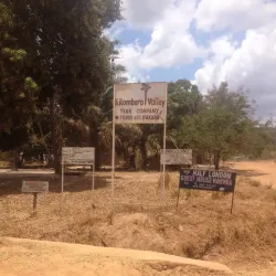Kilombero Valley Floodplain - Kilombero
