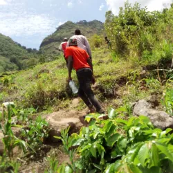 Local Villages and Cultural Tours - Kilombero