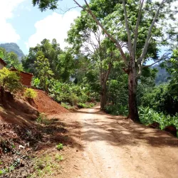 Local Villages and Cultural Tours - Kilombero