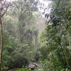 Udzungwa Mountains National Park - Kilombero