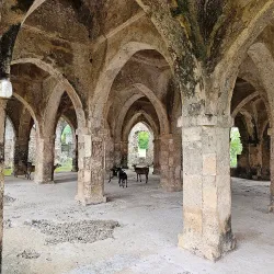 Kilwa Kisiwani Ruins - Lindi