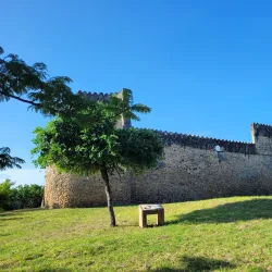 Kilwa Kisiwani Ruins - Lindi