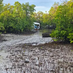 Kilwa Kisiwani Ruins - Lindi
