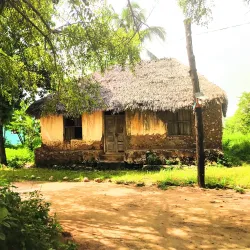 Kilwa Kisiwani Ruins - Lindi