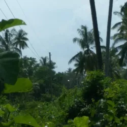 Kilwa Masoko - Lindi