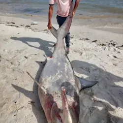 Kilwa Masoko - Lindi