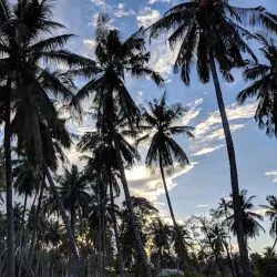 Mikindani Historic Town - Lindi