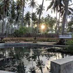 Mikindani Historic Town - Lindi