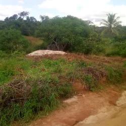 Pande Game Reserve - Lindi