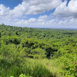 Pande Game Reserve - Lindi