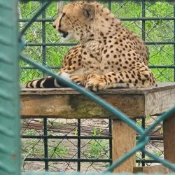 Pande Game Reserve - Lindi