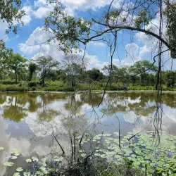 Pande Game Reserve - Lindi