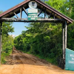 Pande Game Reserve - Lindi